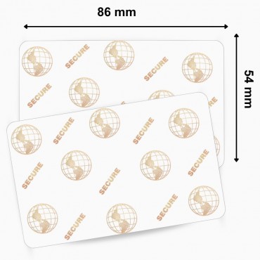 Carte plastique PVC vierge avec Hologramme Globe 3D ZEBRA 104523-120 idéale badge ou carte client – achetez sur Althus-Office