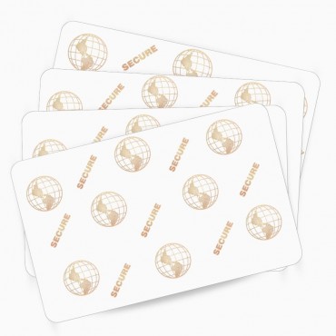 Carte PVC vierge avec Hologramme Globe 2D 104523-119 ZEBRA pour personnalisation rapide – découvrez sur Althus-Office