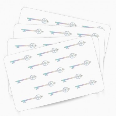 Cartes PVC vierges avec Hologramme Clé 500 cartes ZEBRA 104524-123 usage entreprise – commandez sur Althus-Office