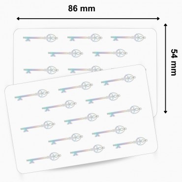 Cartes PVC vierges avec Hologramme Clé 500 cartes ZEBRA 104524-123 usage entreprise – commandez sur Althus-Office