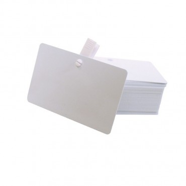 Lot de 100 cartes PVC vierges avec perforation ronde EVOLIS C4512 Blanche usage pro – découvrez sur Althus-Office