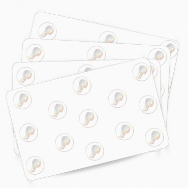 Carte PVC MAGICARD Holopatch vierge M9006-796 boîte de 500 cartes pour impression professionnelle – commandez sur Althus-Office
