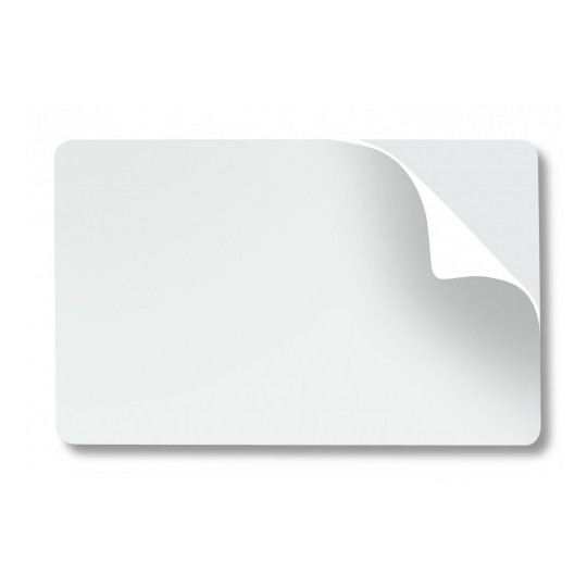 Carte PVC ZEBRA Blanches Lot de 500 cartes - Réf : 104523-010