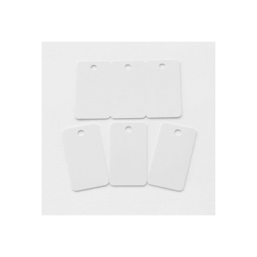 Carte PVC ZEBRA porte-clé Blanche sécable Lot de 500 - Réf : 104523-020
