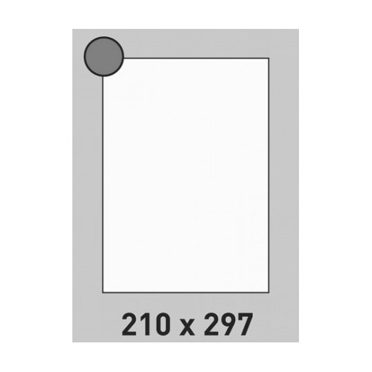 Etiquette en planche 210 x 297 mm 10 Boîtes - Réf : 1393X10